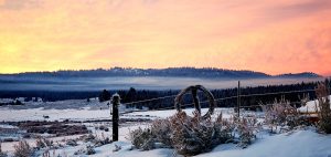 Corporate Narration from Idaho Voice Actor Rich Summers