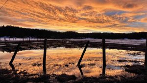 Professional narrator Rich Summers view from his studio in Idaho.