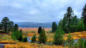 Gritty Western voice actor for Mountain West brands